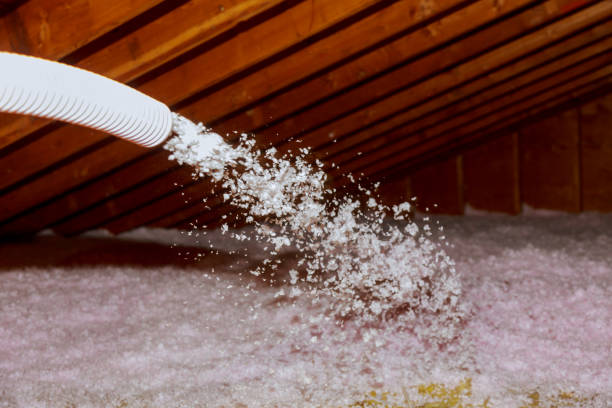 Best Insulation Installation Services in Three Rivers, MI