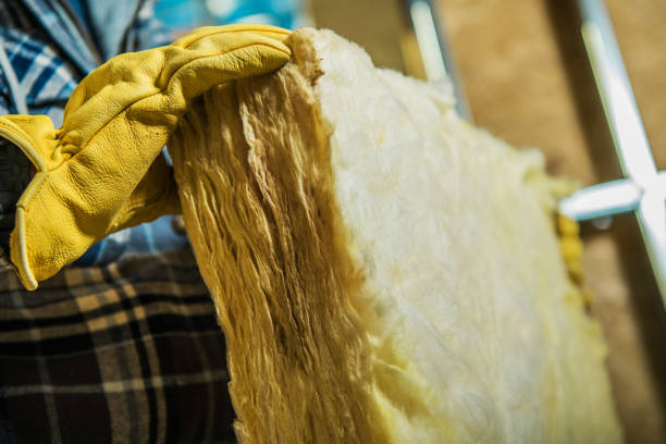 Best Insulation Maintenance and Repair in Three Rivers, MI